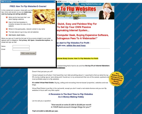 Flipping Websites |How To Flip Websites And Make Money Online