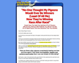 How To Race Pigeons – True Racing Secrets Revealed!